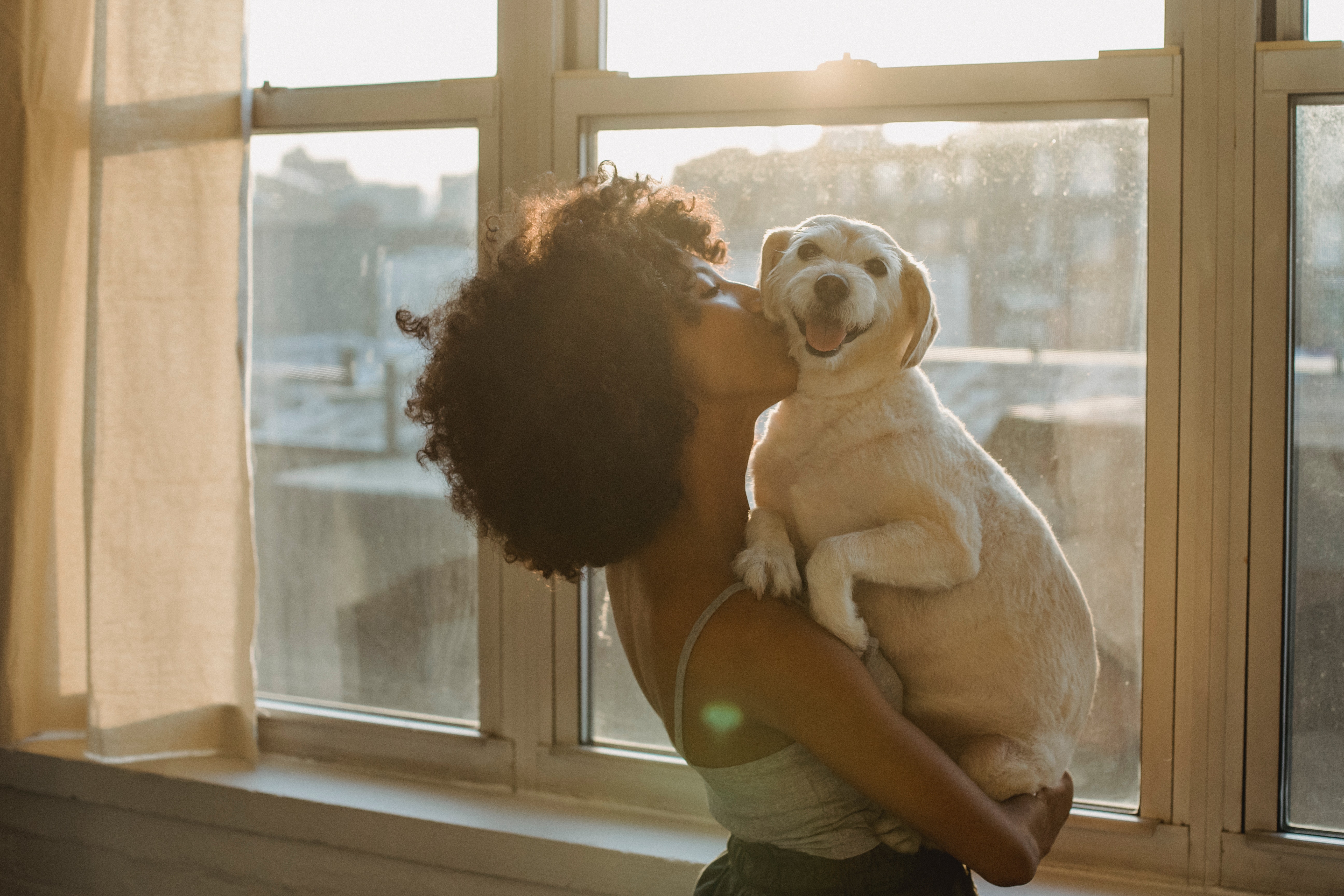 Persona abrazando y besando a su perro junto a una ventana al atardecer